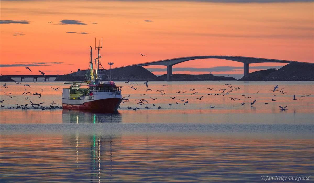 Kultur, Idrett, Fritid Og Reiseliv (tourism) - Averøy Kommune